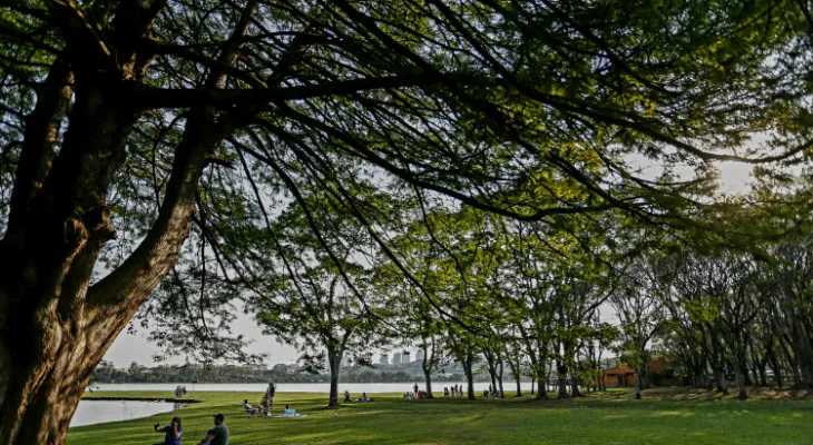 Reta final do inverno: setembro começa na segunda com mais calor e chuvas mais intensas