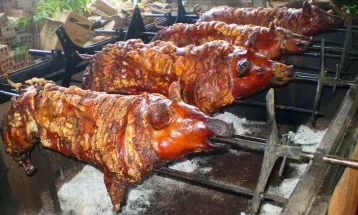 Toledo se prepara para 52ª Festa Nacional do Porco no rolete