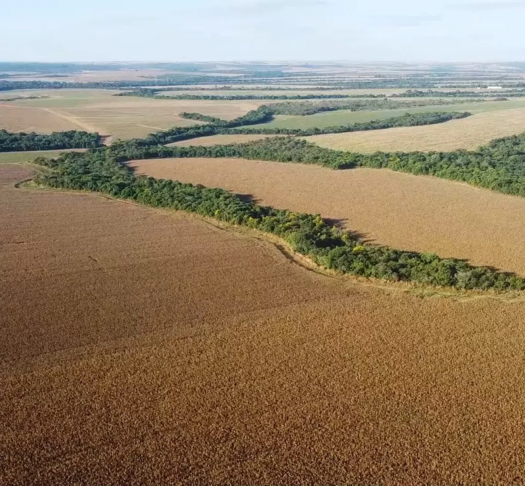 Sistema FAEP contesta metodologia da Seab para cálculo do Valor da Terra Nua no Paraná