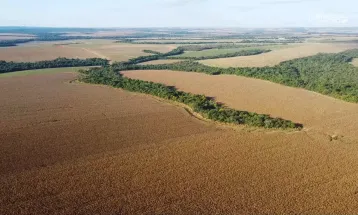 Sistema FAEP aguarda rápida sanção presidencial do PL que prorroga a ratificação de imóveis em faixa de fronteira