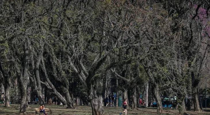 Cidade de São Paulo tem agosto mais seco desde 2020