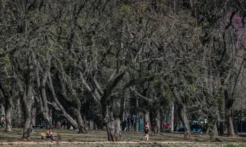 Cidade de São Paulo tem agosto mais seco desde 2020