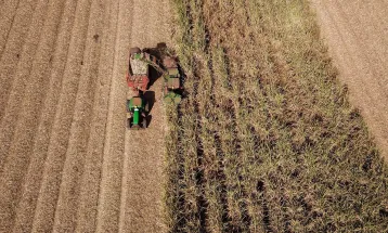 Paraná lidera crescimento da atividade econômica entre os estados no 1º semestre de 2025