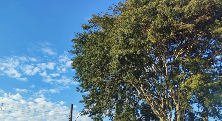 Sol, vento forte e tempo firme marcam a quarta-feira em Cascavel
