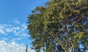 Sol, vento forte e tempo firme marcam a quarta-feira em Cascavel