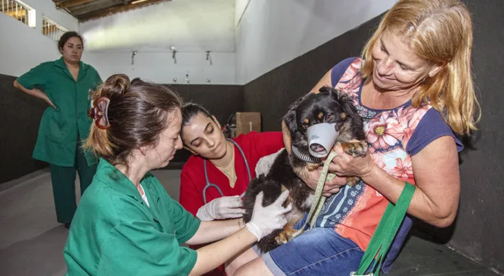 Estão abertos os agendamentos para vacinação gratuita de cães e gatos de moradores dos bairros da Regional Cajuru