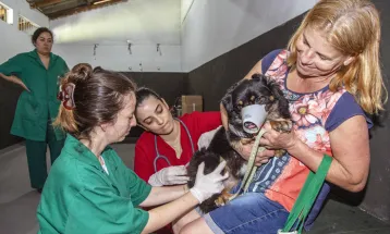 Estão abertos os agendamentos para vacinação gratuita de cães e gatos de moradores dos bairros da Regional Cajuru