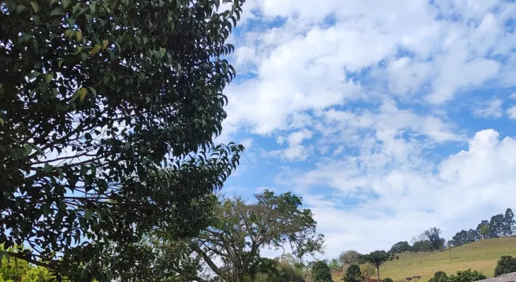 Sábado terá pancadas de chuva e temperaturas amenas em Cascavel