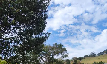 Sábado terá pancadas de chuva e temperaturas amenas em Cascavel