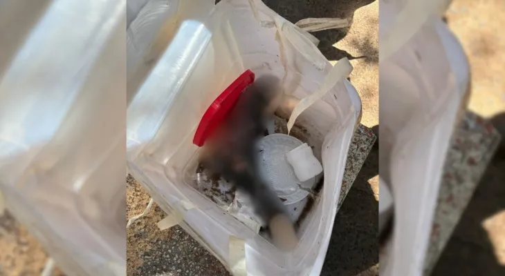 Funcionários levam susto ao encontrar pé humano em meio a recicláveis em SP