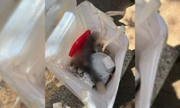 Funcionários levam susto ao encontrar pé humano em meio a recicláveis em SP