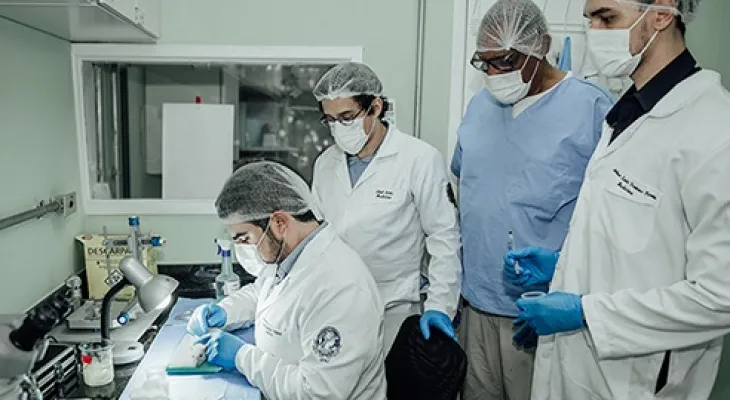 Pesquisa brasileira com proteína da placenta devolve movimentos a pacientes com lesão na medula