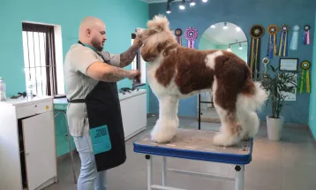 Com ampla variedade, setor de serviços lidera a geração de empregos no Paraná em 2025