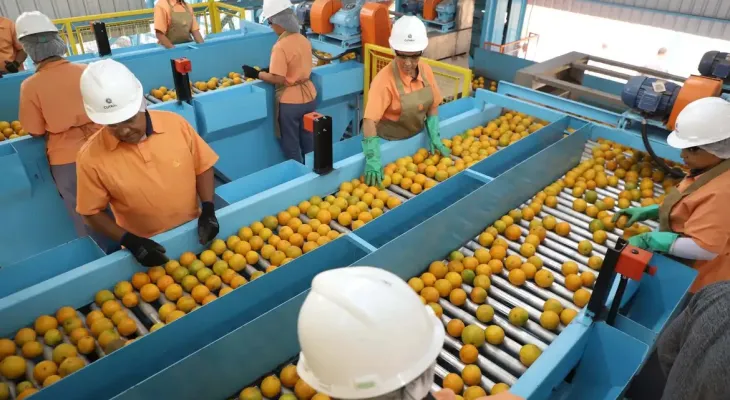 Exportações brasileiras caem em agosto sob impacto do tarifaço dos EUA