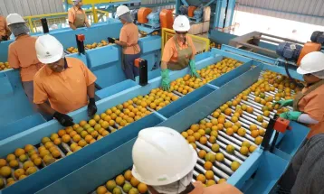 Exportações brasileiras caem em agosto sob impacto do tarifaço dos EUA