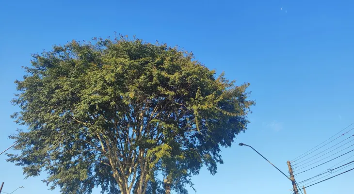 Cascavel terá sol e tempo estável nesta sexta-feira (12)