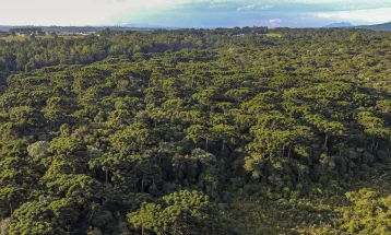 Governo propõe projeto para quitação de dívidas ambientais e de ICMS