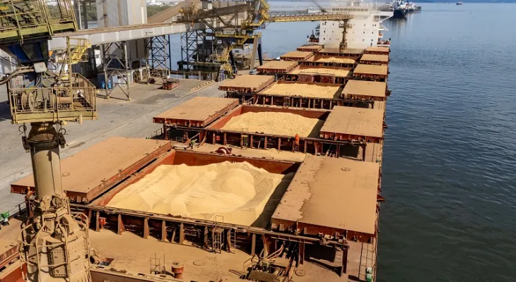 Porto de Paranaguá lidera exportação de soja e amplia de farelo e proteínas animais