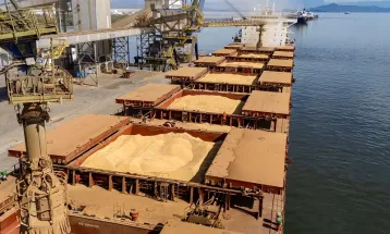 Porto de Paranaguá lidera exportação de soja e amplia de farelo e proteínas animais