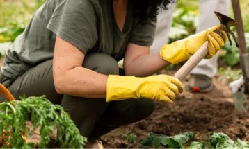 Justiça Federal obriga Incra a devolver título de terra para agricultora no Paraná