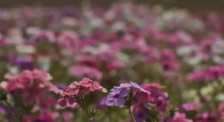 Primavera começa com chegada de frente fria, temporais e fortes ventos