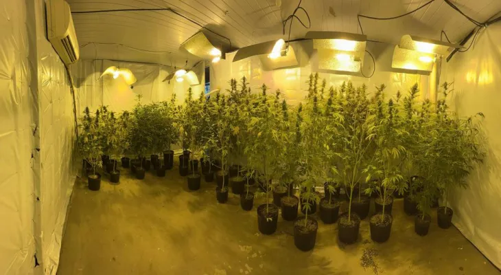União obtém expropriação de imóvel utilizado no cultivo de droga
