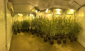 União obtém expropriação de imóvel utilizado no cultivo de droga