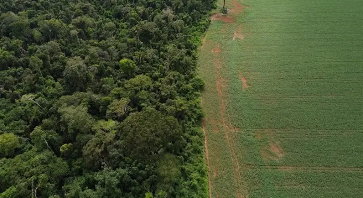 Brasil apresenta soluções de financiamento climático em Nova York