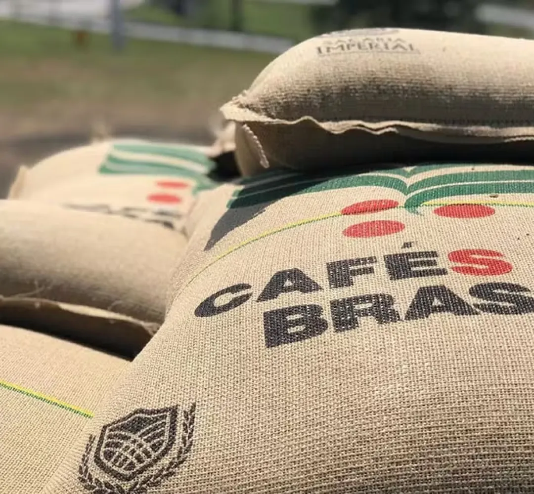 Café arábica fecha maio em queda e atinge menor preço desde 2024