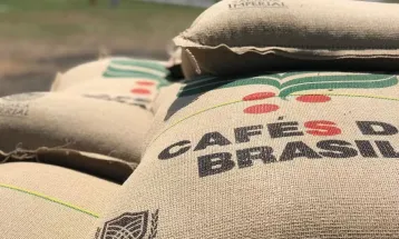 Exportadores de café voltam a ter esperança após decreto de Trump 