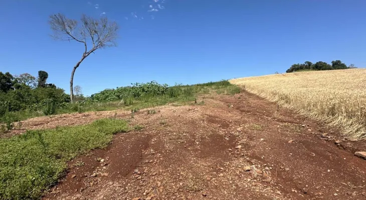 IAT aplica R$ 2,9 milhões em multas ambientais durante a Operação Mata Atlântica em Pé