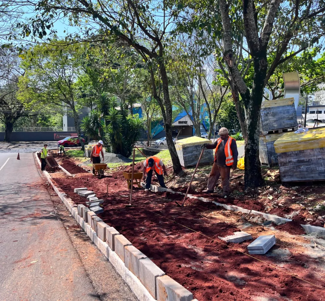 Obra da Ciclovia Avança com Remoção de Árvores na Avenida JK