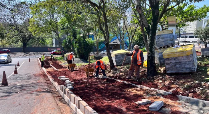 Obra da Ciclovia Avança com Remoção de Árvores na Avenida JK