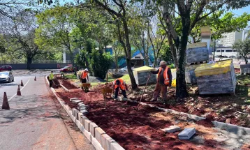 Obra da Ciclovia Avança com Remoção de Árvores na Avenida JK