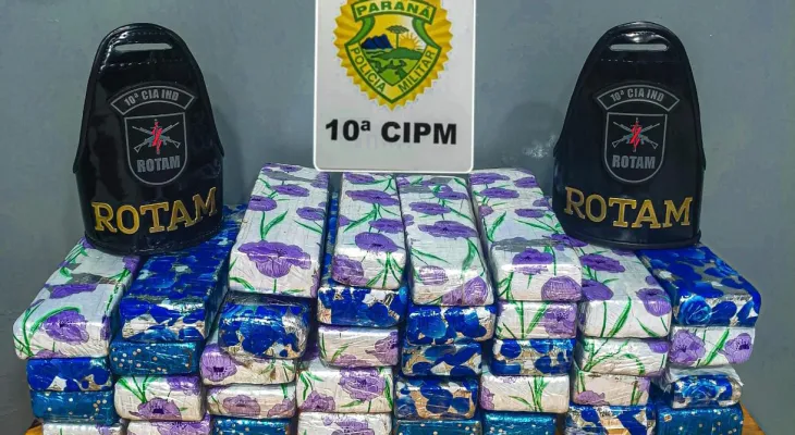 Mulher é presa com quase 24 kg de maconha em ônibus na rodoviária de Laranjeiras do Sul