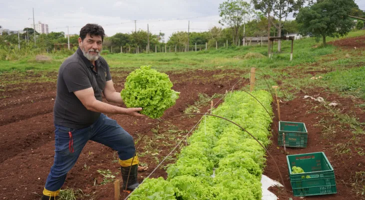 Prefeitura planta alimentos que enriquecem cardápio da Cozinha Social do Provopar