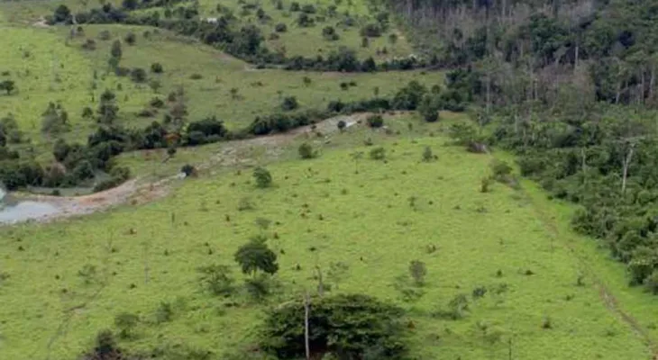Câmara aprova prorrogação do prazo para georreferenciamento de imóveis rurais até 2030