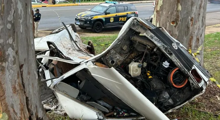 Condutor morre após colidir contra árvore na BR-369, em Apucarana