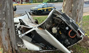 Condutor morre após colidir contra árvore na BR-369, em Apucarana