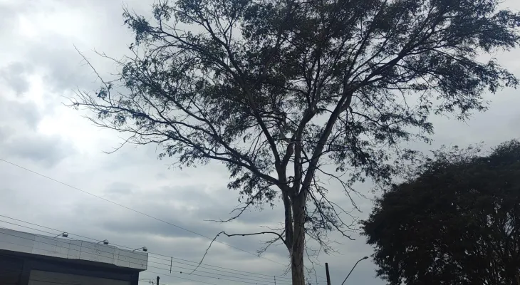 Quarta-feira amanheceu chuvosa e fria em Cascavel