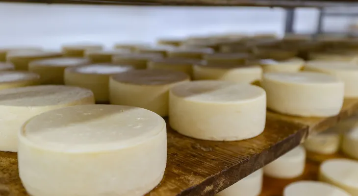 Isenção do ICMS para queijo beneficia produtor rural do Paraná, afirma Faep