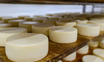 Isenção do ICMS para queijo beneficia produtor rural do Paraná, afirma Faep