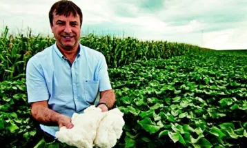 Grupo em recuperação detém R$ 540 milhões em créditos do Pupin