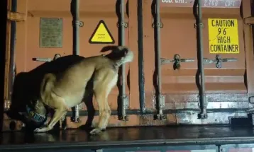 PMPR e PF apreendem mais de 11 toneladas de maconha em fiscalização na BR-277