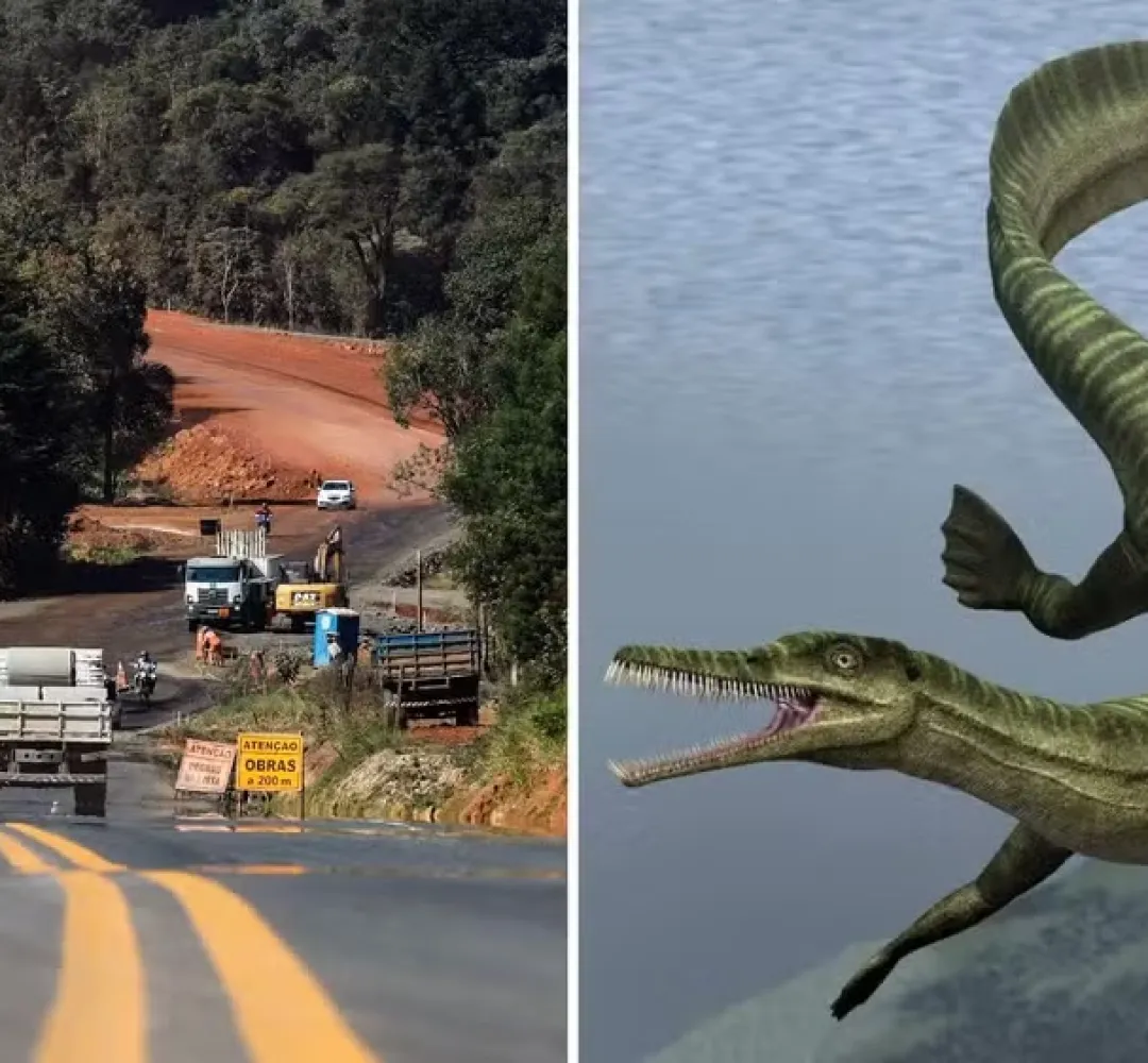 Obra de asfalto é paralisada no Paraná após descoberta de fósseis mais antigos que os dinossauros