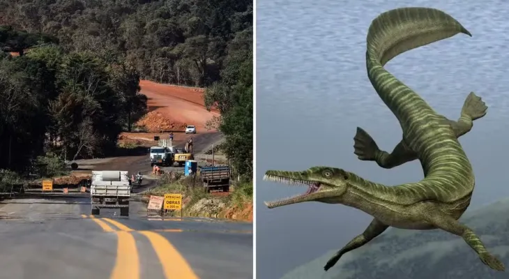 Obra de asfalto é paralisada no Paraná após descoberta de fósseis mais antigos que os dinossauros