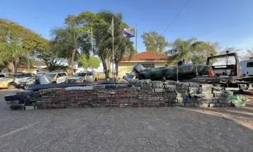 Paraná lidera ranking nacional de apreensão de maconha em 2025