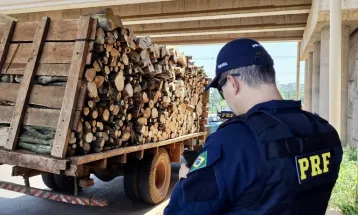 Motorista de caminhão é flagrado usando corda como cinto de segurança no Paraná