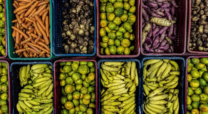 Mais de 17 mil toneladas de alimentos da agricultura familiar abastecem escolas do Paraná anualmente