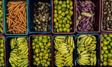 Mais de 17 mil toneladas de alimentos da agricultura familiar abastecem escolas do Paraná anualmente